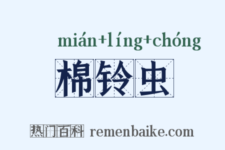 棉铃虫是什么意思的图片